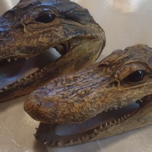 Realistic Reptile Head Decor